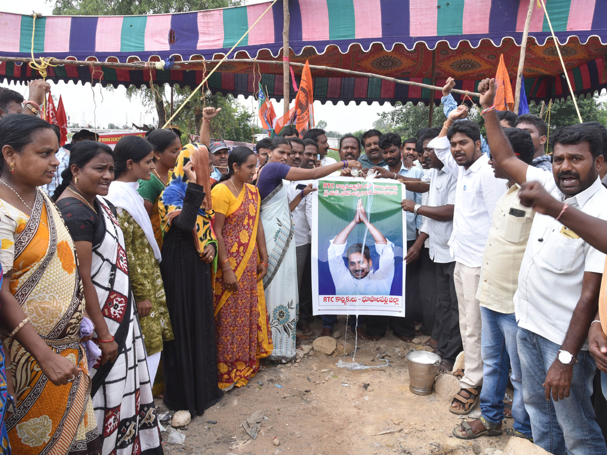 Best pics of The Week in AP and Telangana october 20 -10-2019 to october 27 -10- 2019 - Sakshi1