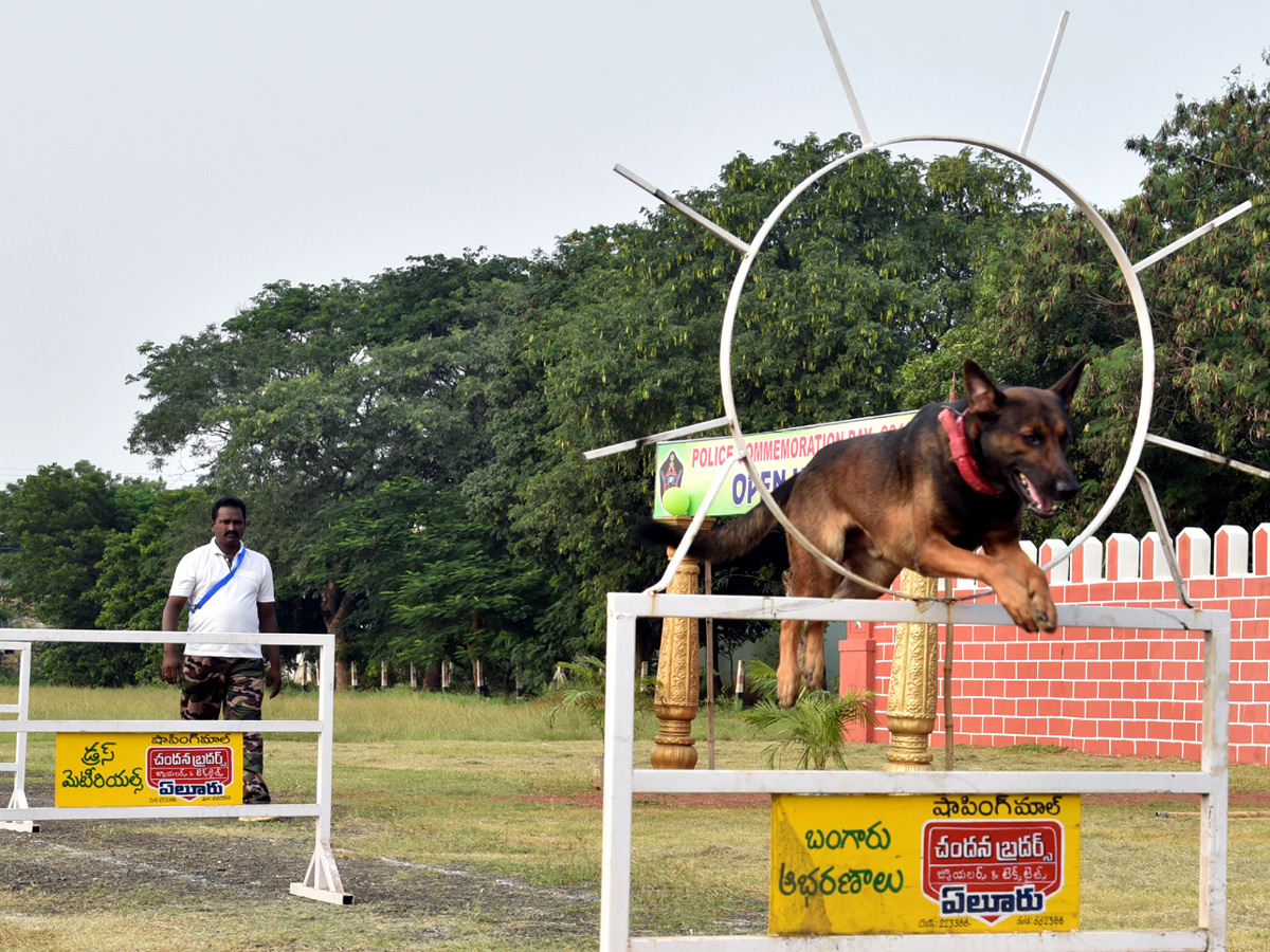 Best pics of The Week in AP and Telangana october 20 -10-2019 to october 27 -10- 2019 - Sakshi9