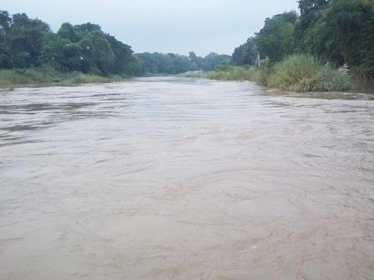 Heavy Rain in Andhra Pradesh Photo Gallery - Sakshi10