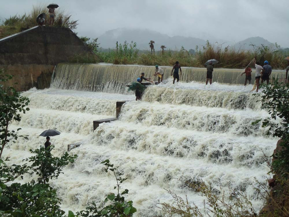 Heavy Rain in Andhra Pradesh Photo Gallery - Sakshi14