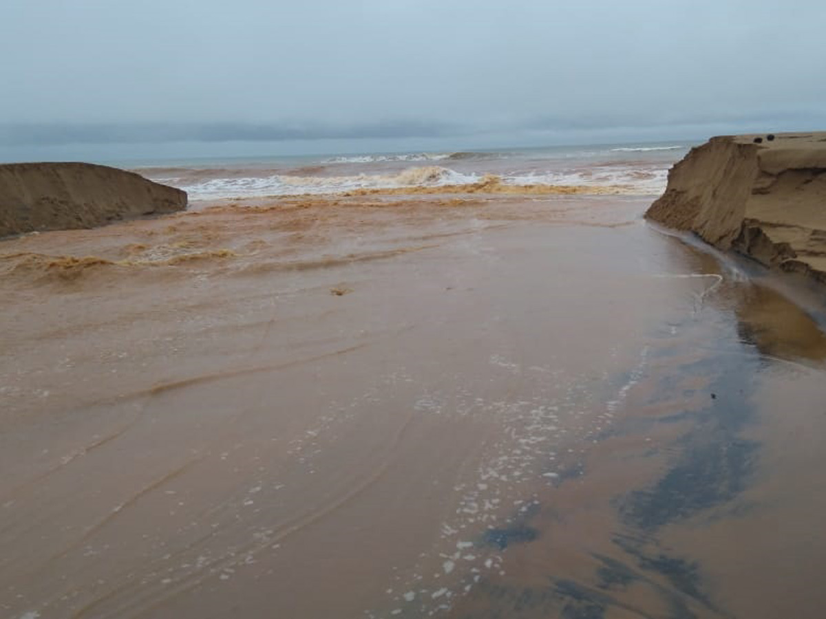 Heavy Rain in Andhra Pradesh Photo Gallery - Sakshi16