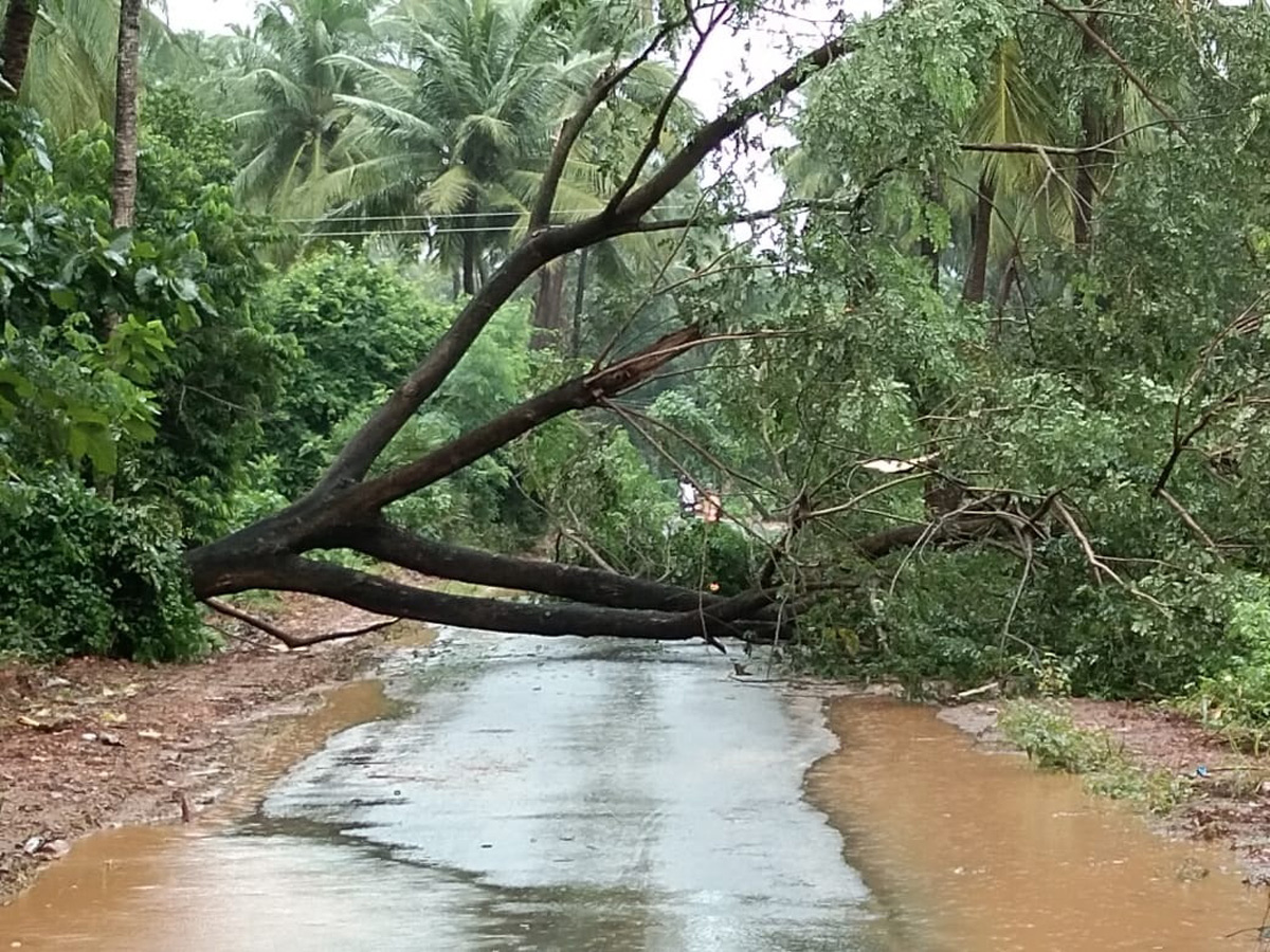 Heavy Rain in Andhra Pradesh Photo Gallery - Sakshi18