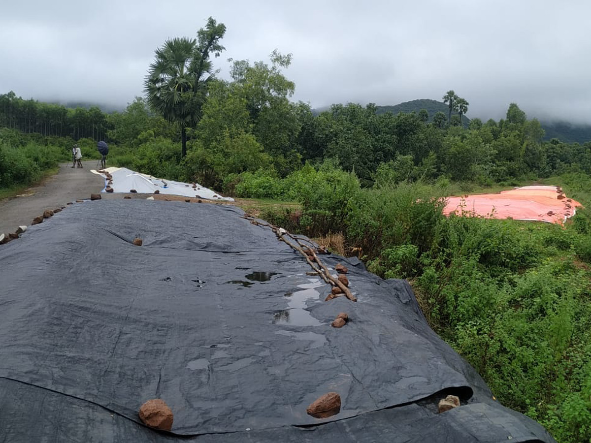 Heavy Rain in Andhra Pradesh Photo Gallery - Sakshi3