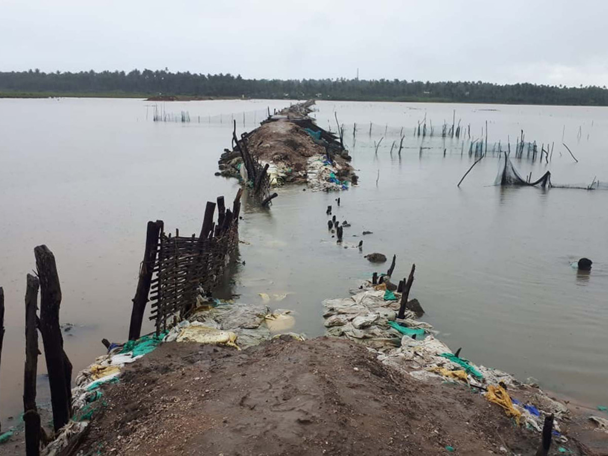 Heavy Rain in Andhra Pradesh Photo Gallery - Sakshi35