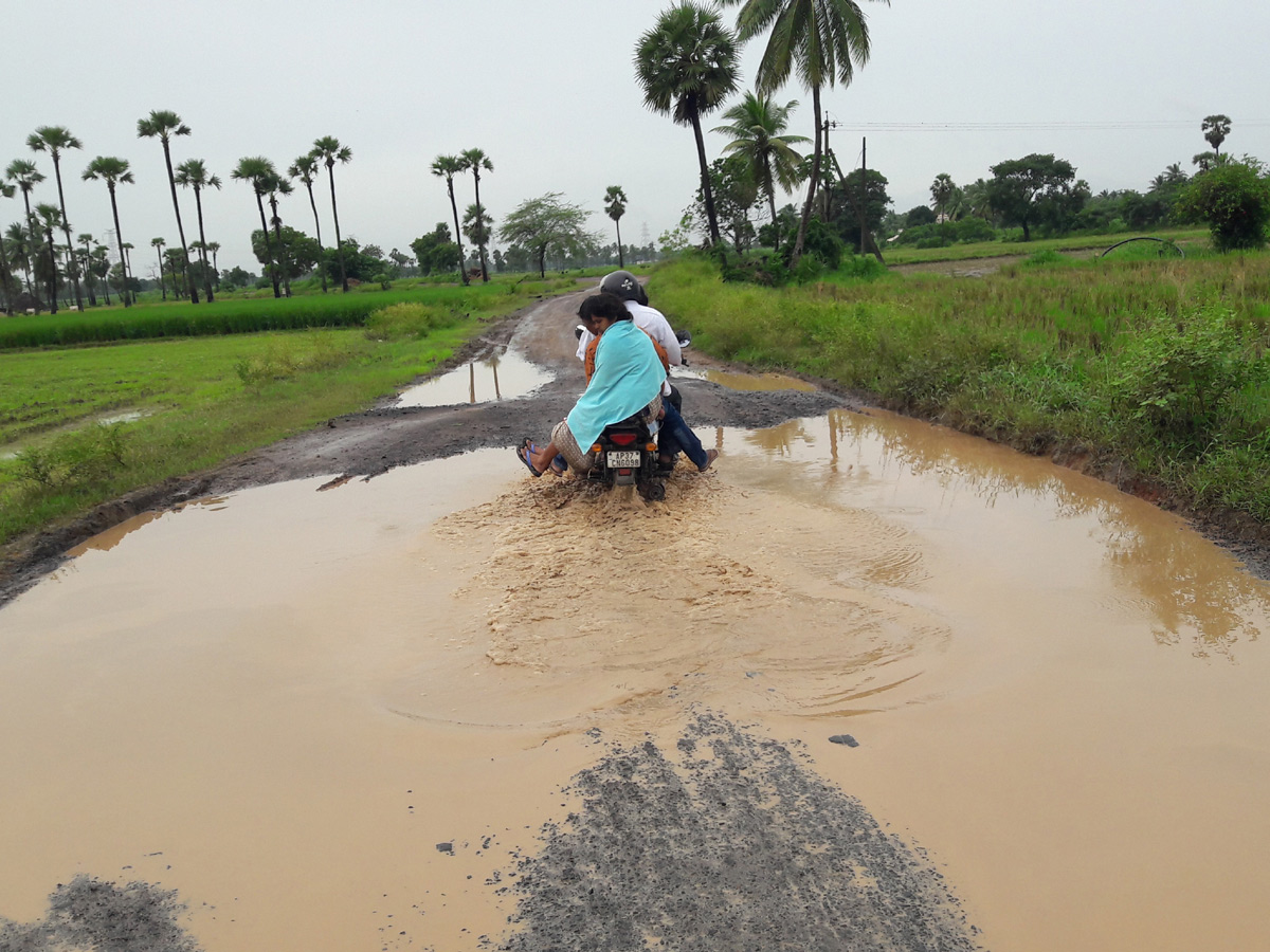 Heavy Rain in Andhra Pradesh Photo Gallery - Sakshi4