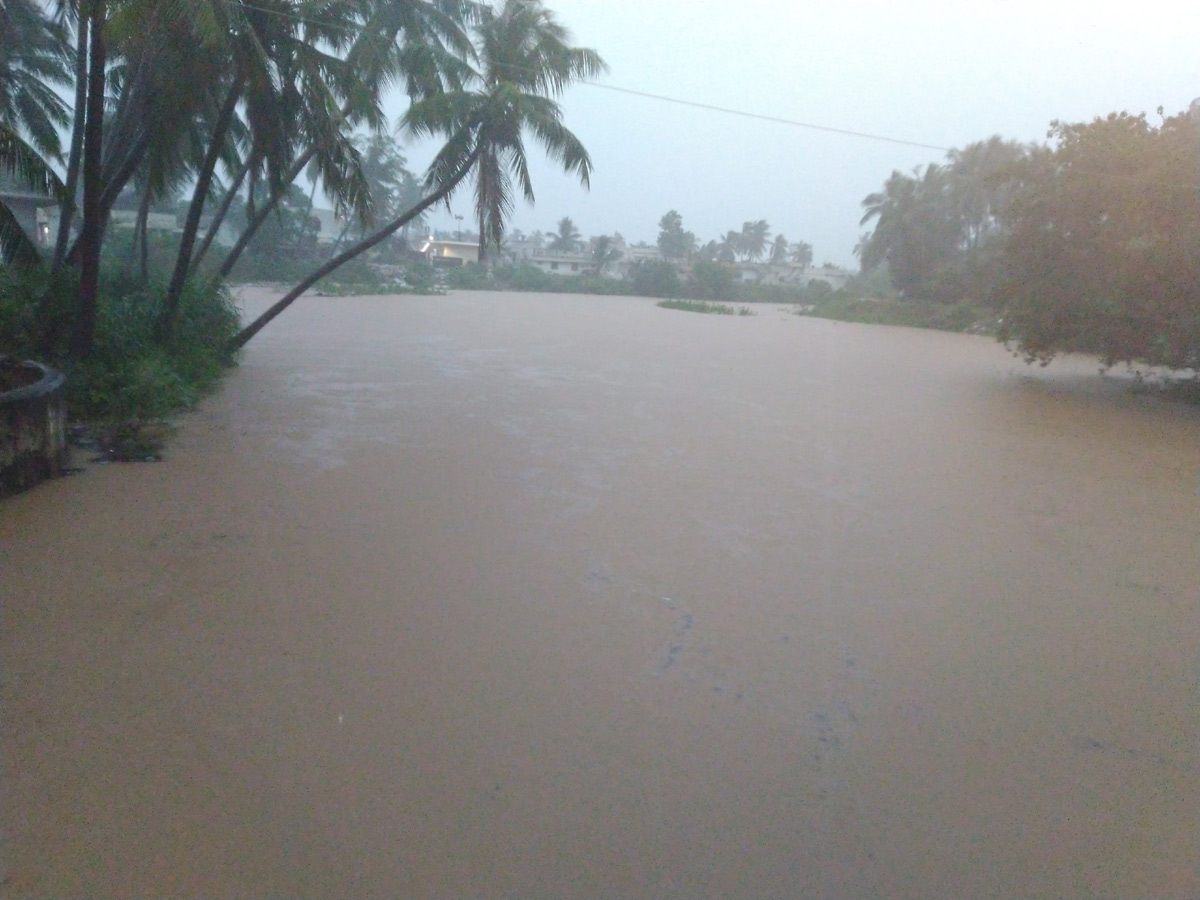 Heavy Rain in Andhra Pradesh Photo Gallery - Sakshi41