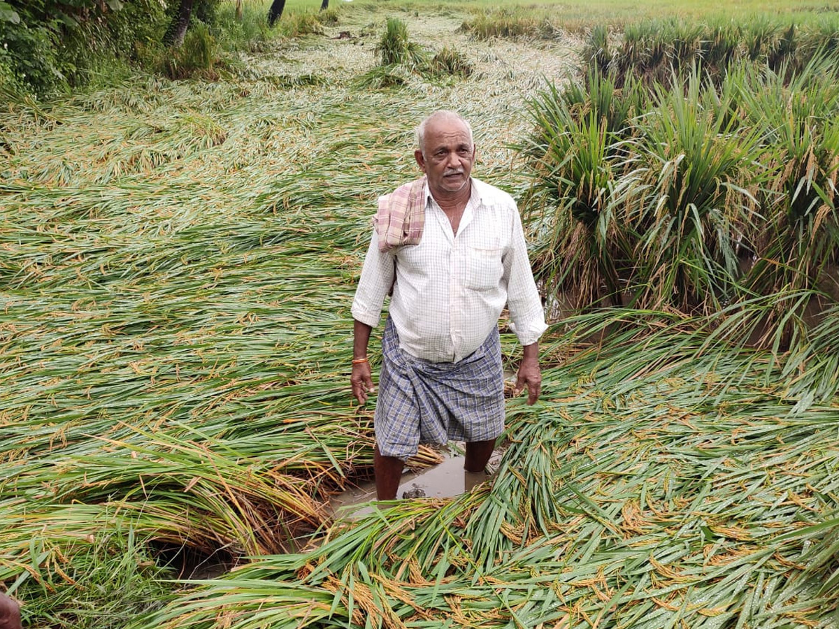 Heavy Rain in Andhra Pradesh Photo Gallery - Sakshi5