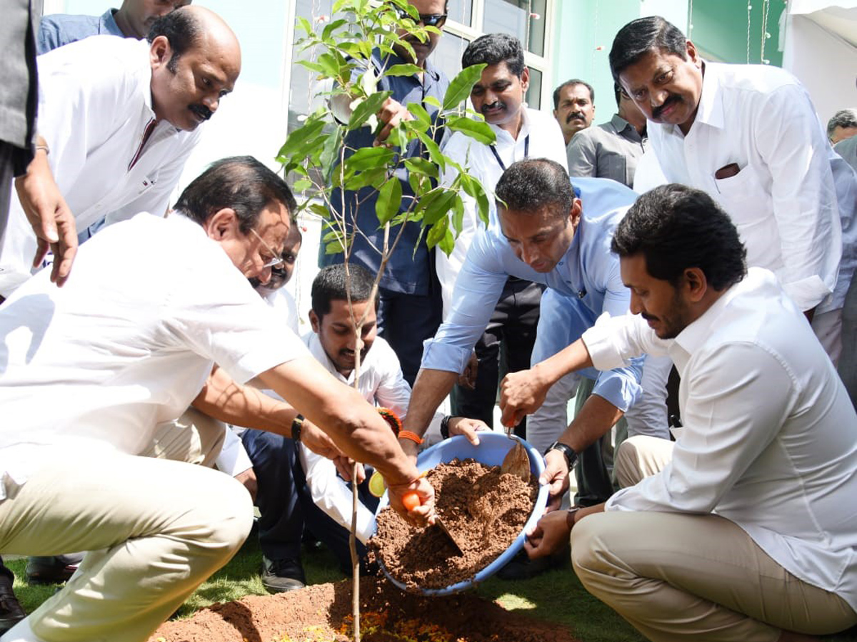 YS Jagan Mohan Reddy To Launch Cipet Buildings At Surampally - Sakshi3