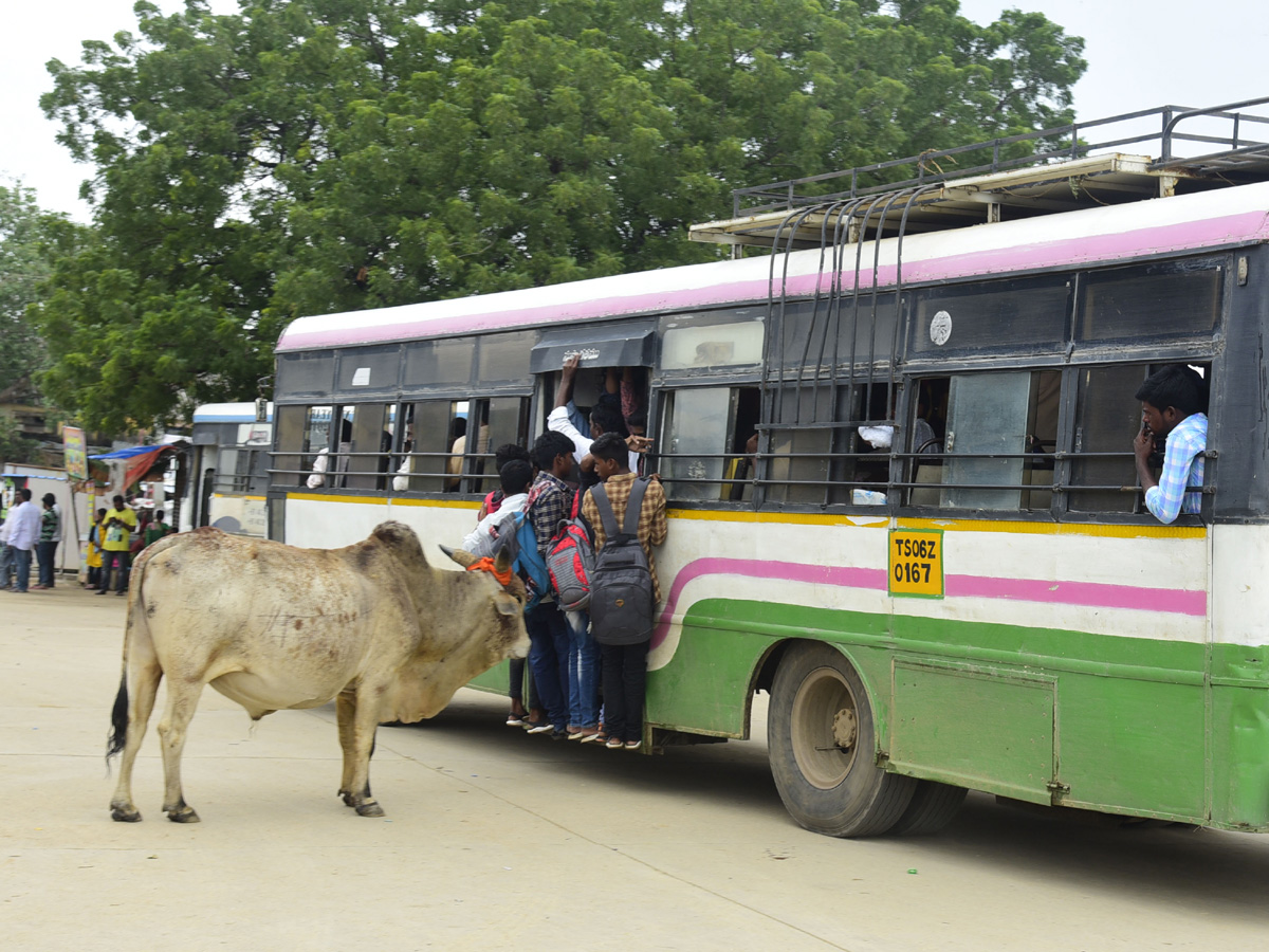 Best Photos of The Week in AP and Telangana october 27 -10-2019 to November 03 -11- 2019 - Sakshi39