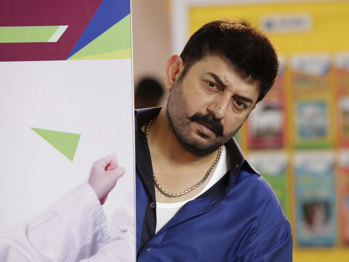 Bhaskar Oka Rascal Movie Stills Photo Gallery - Sakshi3