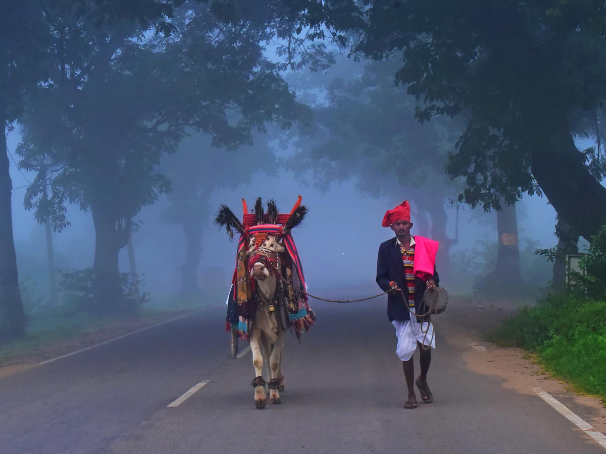 Best pics of The Week in AP and Telangana November 17-11-2019 to November 23-11- 2019 - Sakshi24