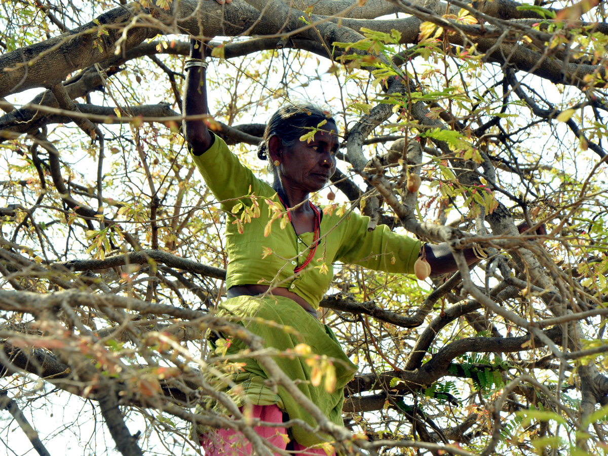 Best pics of The Week in AP and Telangana November 17-11-2019 to November 23-11- 2019 - Sakshi13
