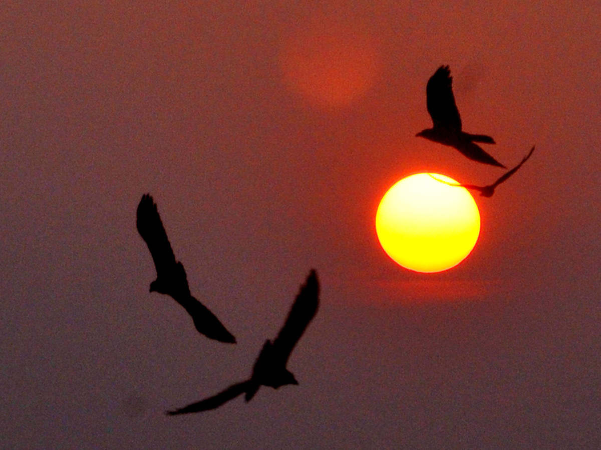 Best images of The Week in AP and Telangana November 24-11-2019 to December 01-12- 2019 - Sakshi28