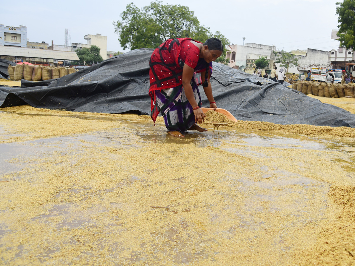 Best images of The Week in AP and Telangana November 24-11-2019 to December 01-12- 2019 - Sakshi29