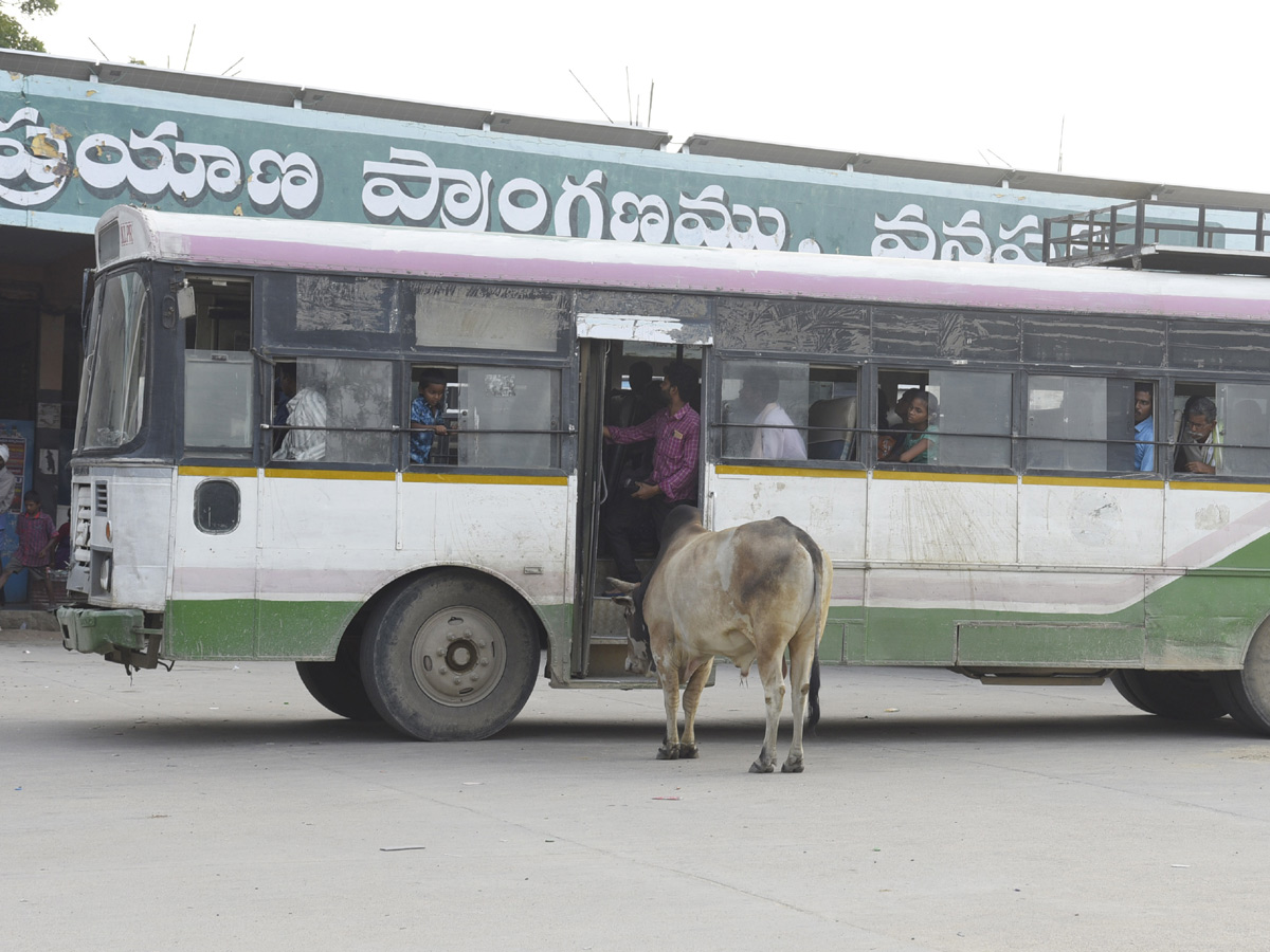 Best images of The Week in AP and Telangana November 24-11-2019 to December 01-12- 2019 - Sakshi30