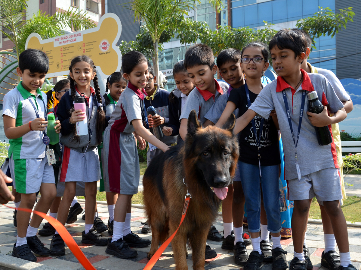 Mayor inaugurates Childrens Park in Gachibowli Photo Gallery - Sakshi10