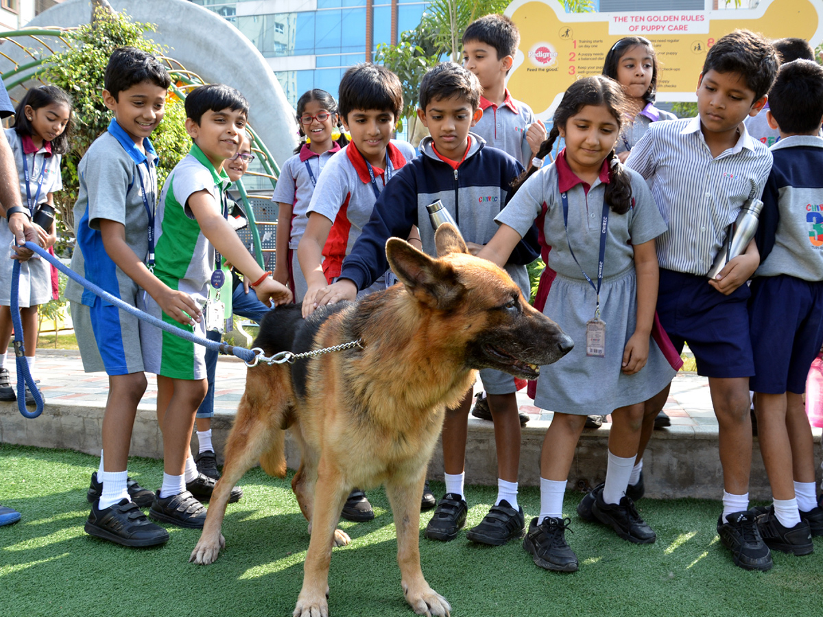 Mayor inaugurates Childrens Park in Gachibowli Photo Gallery - Sakshi11