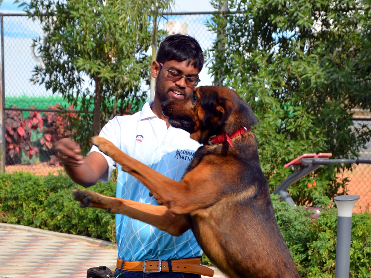 Mayor inaugurates Childrens Park in Gachibowli Photo Gallery - Sakshi13