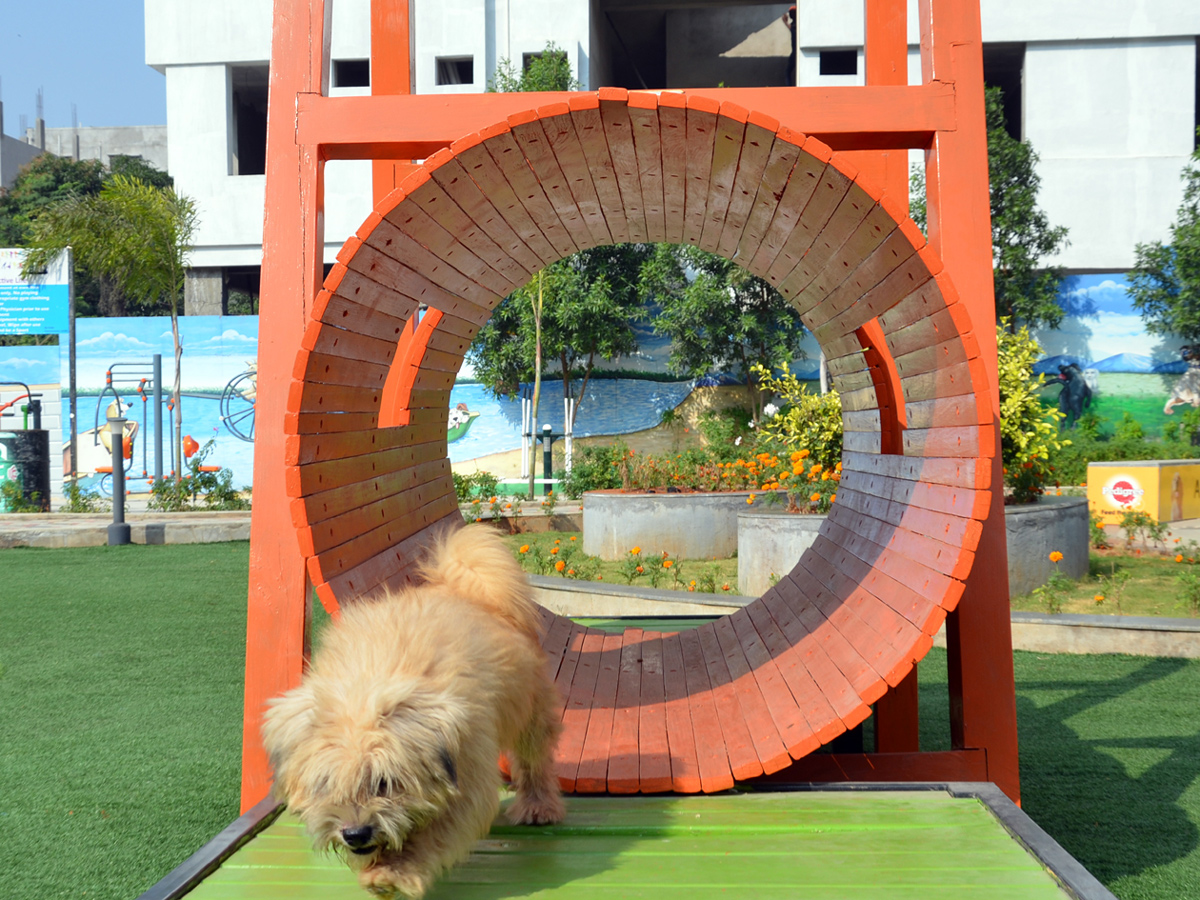 Mayor inaugurates Childrens Park in Gachibowli Photo Gallery - Sakshi14