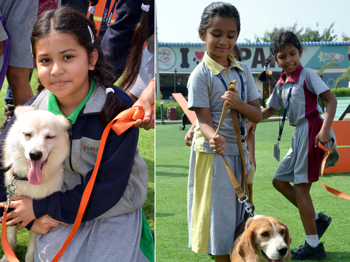 Mayor inaugurates Childrens Park in Gachibowli Photo Gallery - Sakshi9