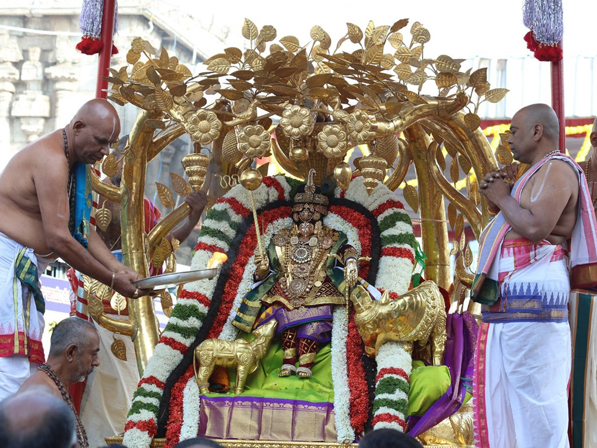 Padmavathi Ammavari Brahmotsavam Photo Gallery - Sakshi13