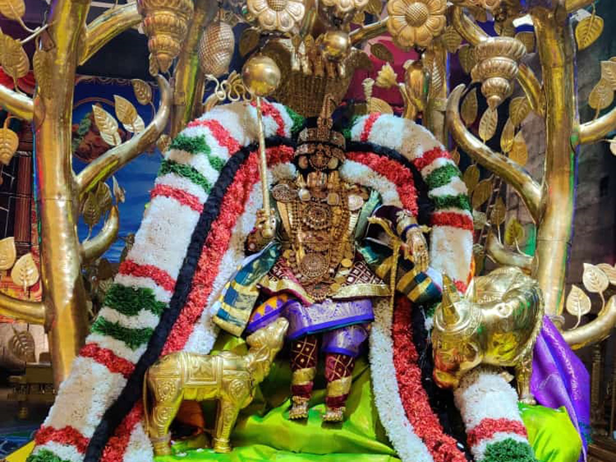 Padmavathi Ammavari Brahmotsavam Photo Gallery - Sakshi14