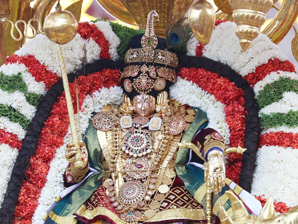 Padmavathi Ammavari Brahmotsavam Photo Gallery - Sakshi8