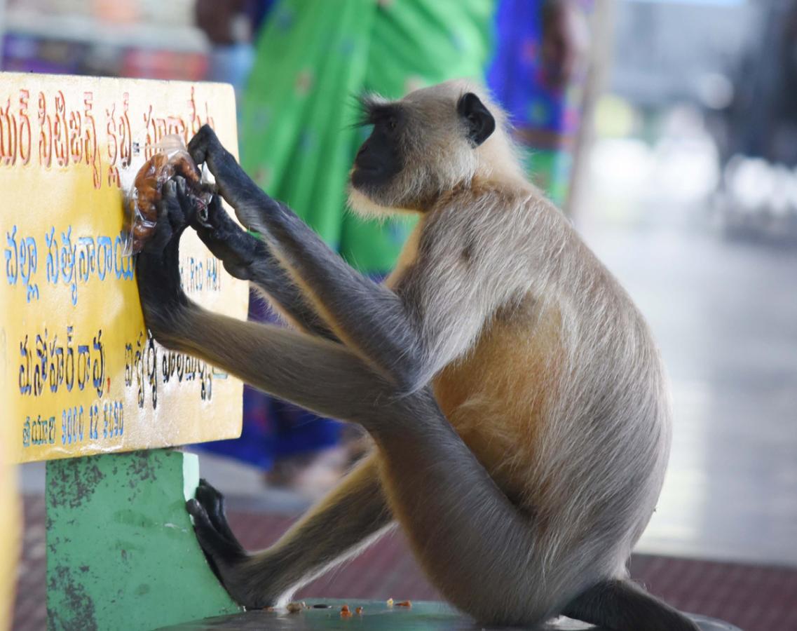 Best images of The Week in AP and Telangana December 01-12 -2019 to December 08-12- 2019 - Sakshi10