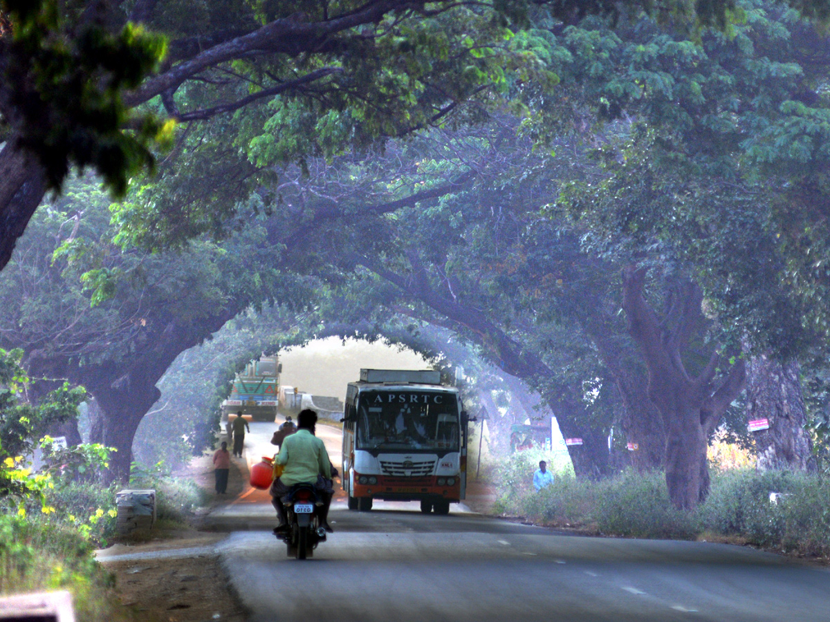 Best images of The Week in AP and Telangana December 08-12 -2019 to December 15-12- 2019 - Sakshi10