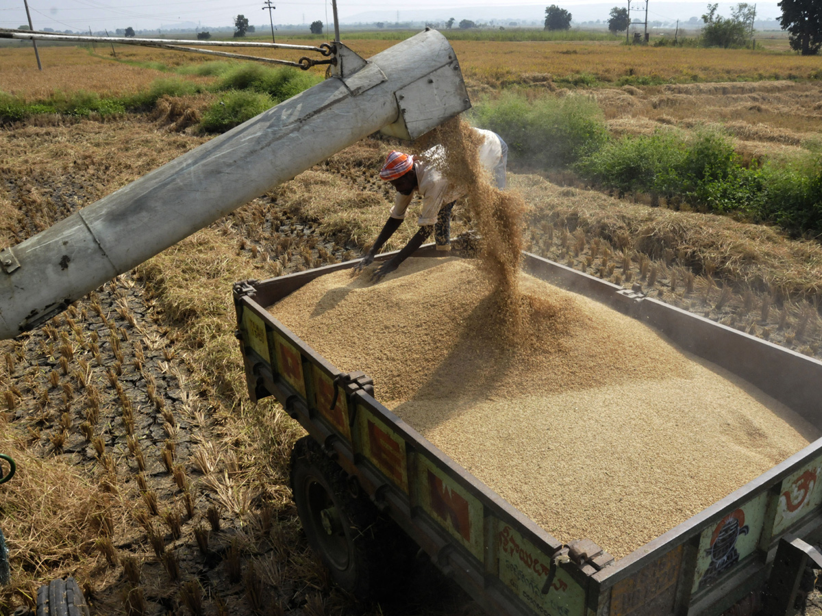 Best images of The Week in AP and Telangana December 08-12 -2019 to December 15-12- 2019 - Sakshi15