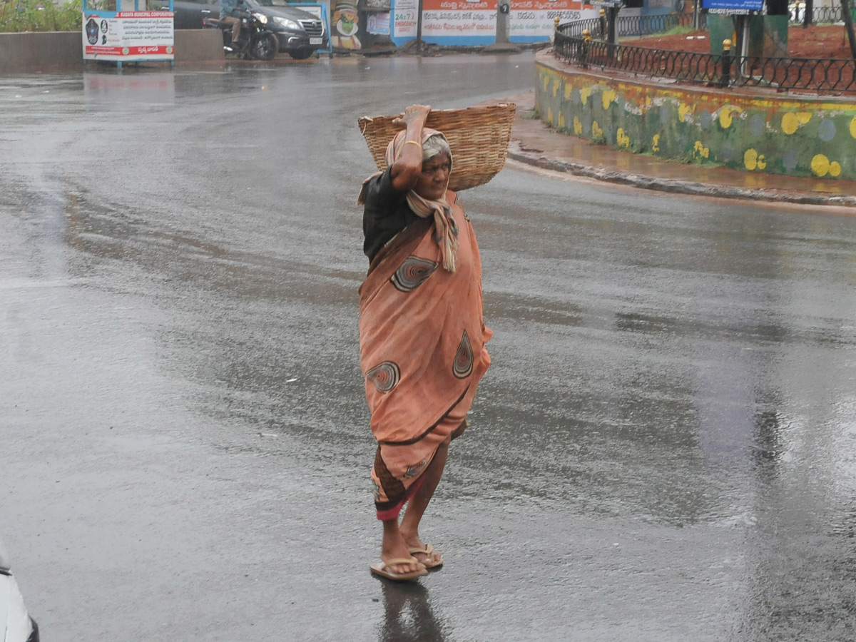 Best Photos Of the Week January 12 to 19,2020 - Sakshi16