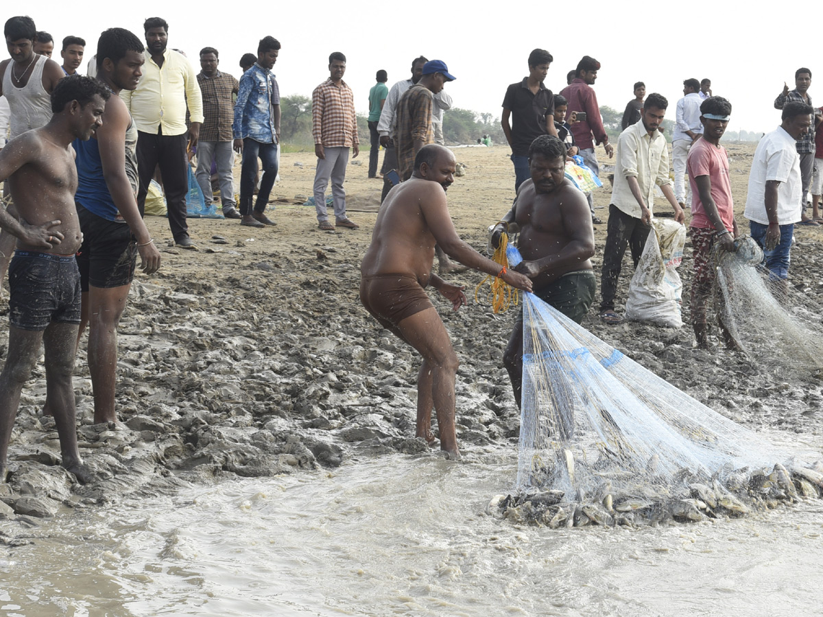 Best Photos Of the Week January 12 to 19,2020 - Sakshi30