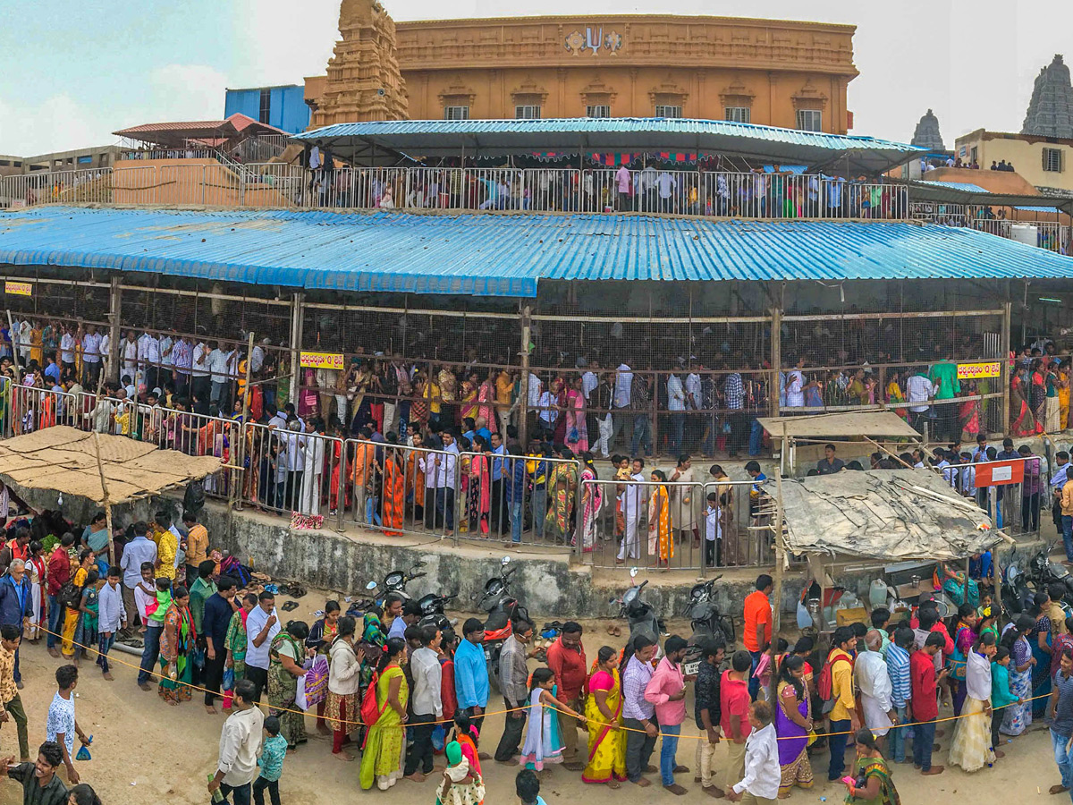 Best Photos Of the Week January 12 to 19,2020 - Sakshi32