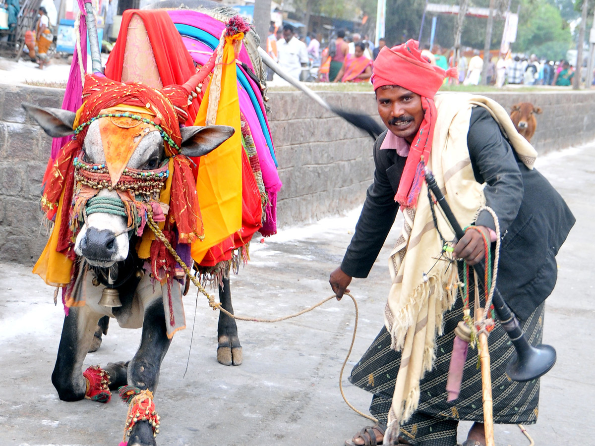 Best Photos Of the Week January 12 to 19,2020 - Sakshi5