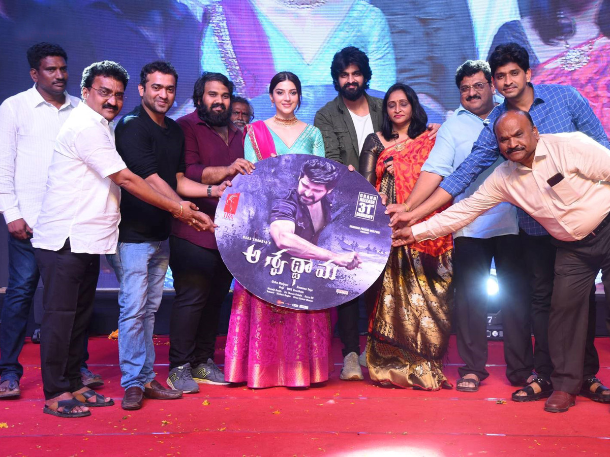 Aswathama Audio Launch Photo Gallery - Sakshi1
