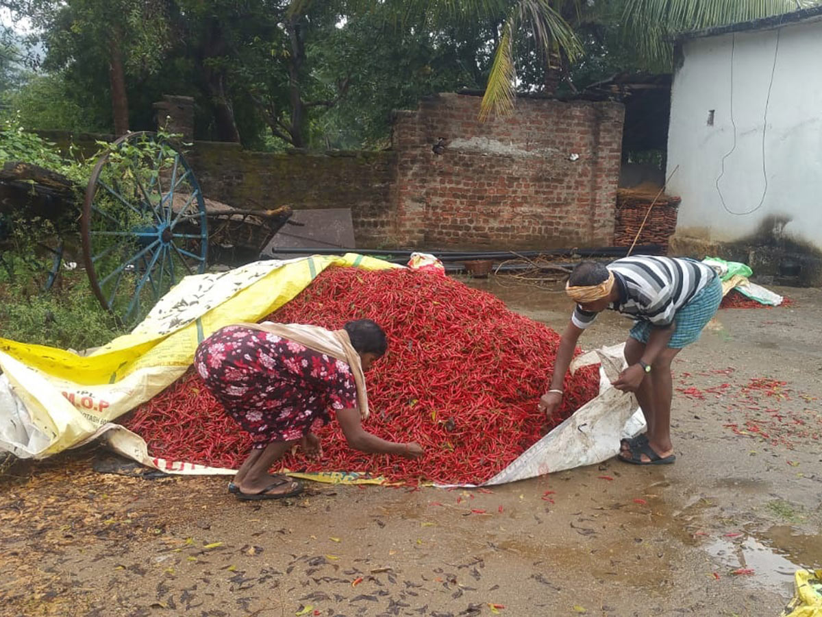 Heavy Rain in Khammam Photo Gallery - Sakshi14