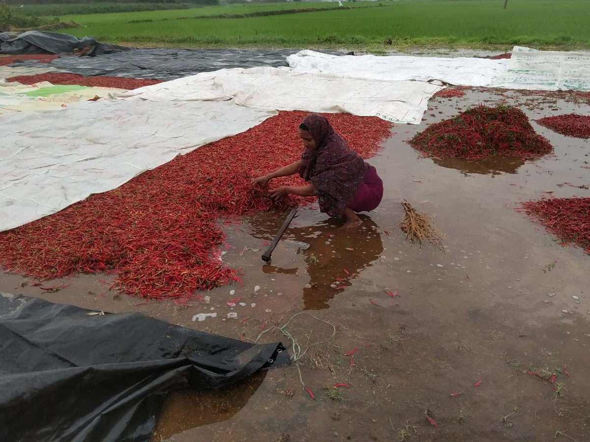 Heavy Rain in Khammam Photo Gallery - Sakshi19