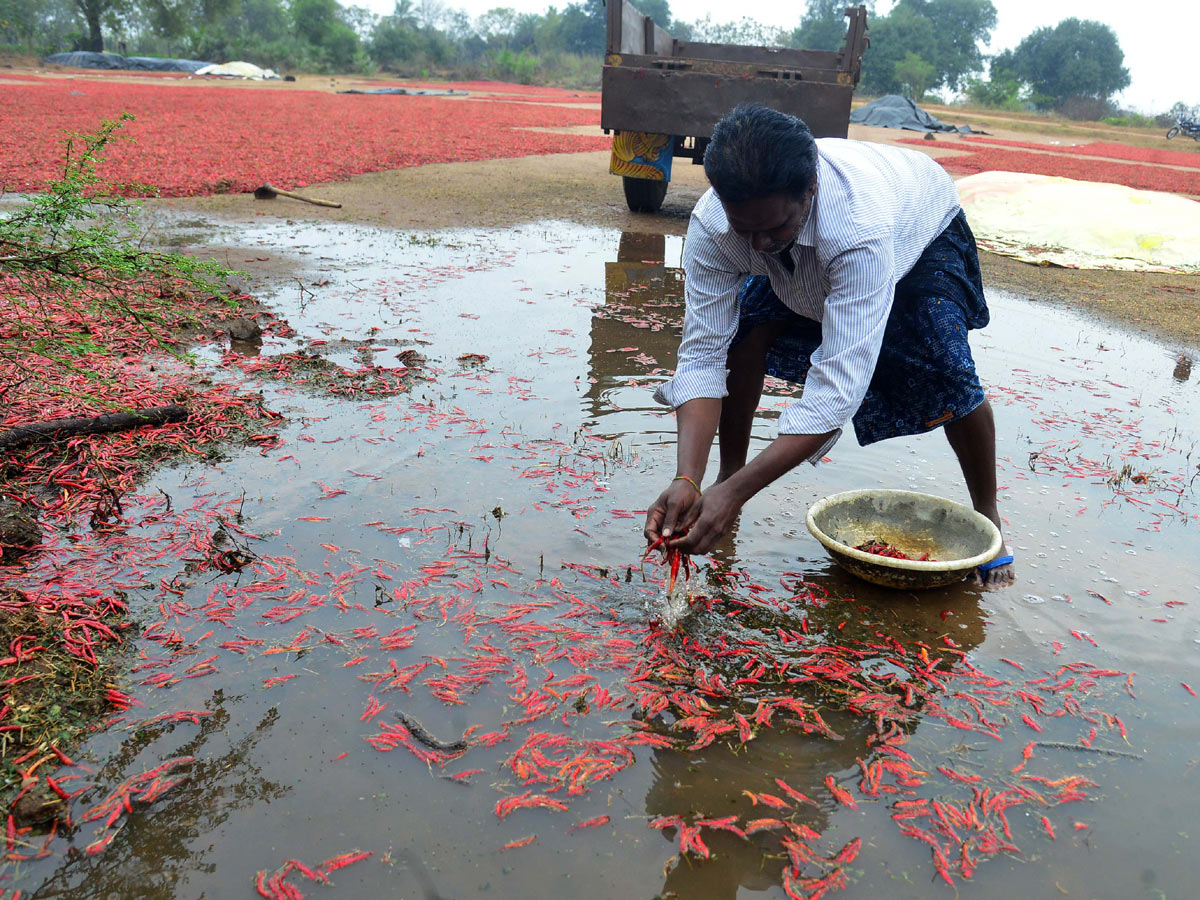 Heavy Rain in Khammam Photo Gallery - Sakshi2