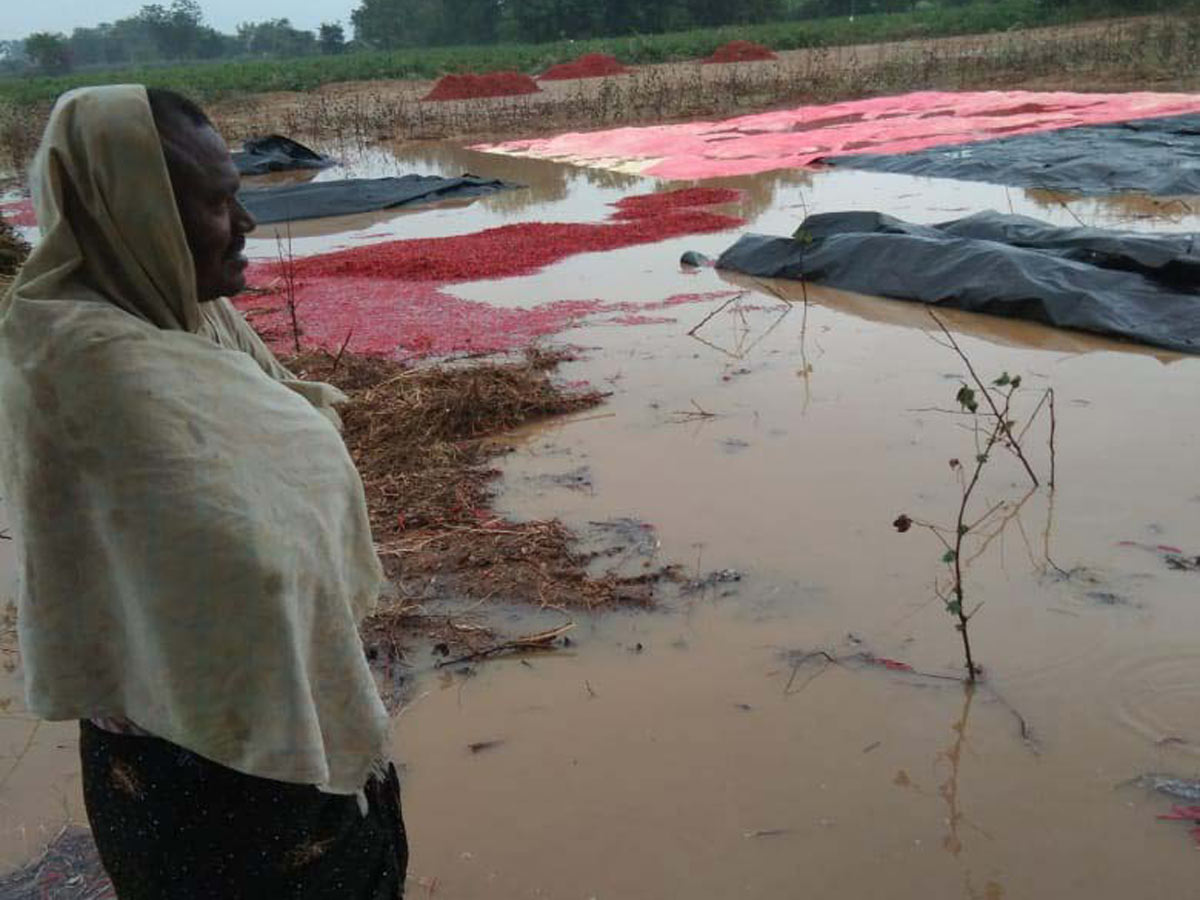 Heavy Rain in Khammam Photo Gallery - Sakshi21