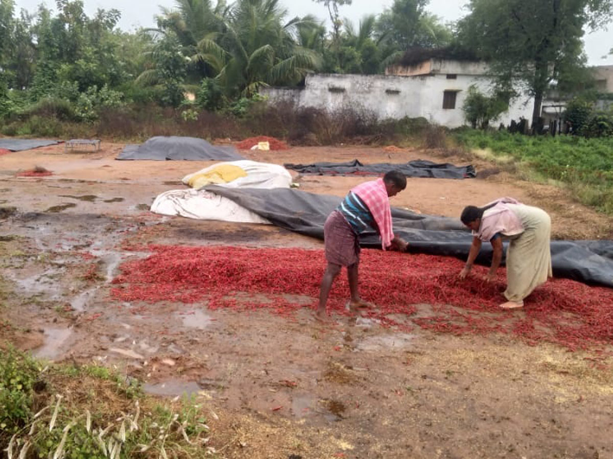 Heavy Rain in Khammam Photo Gallery - Sakshi23