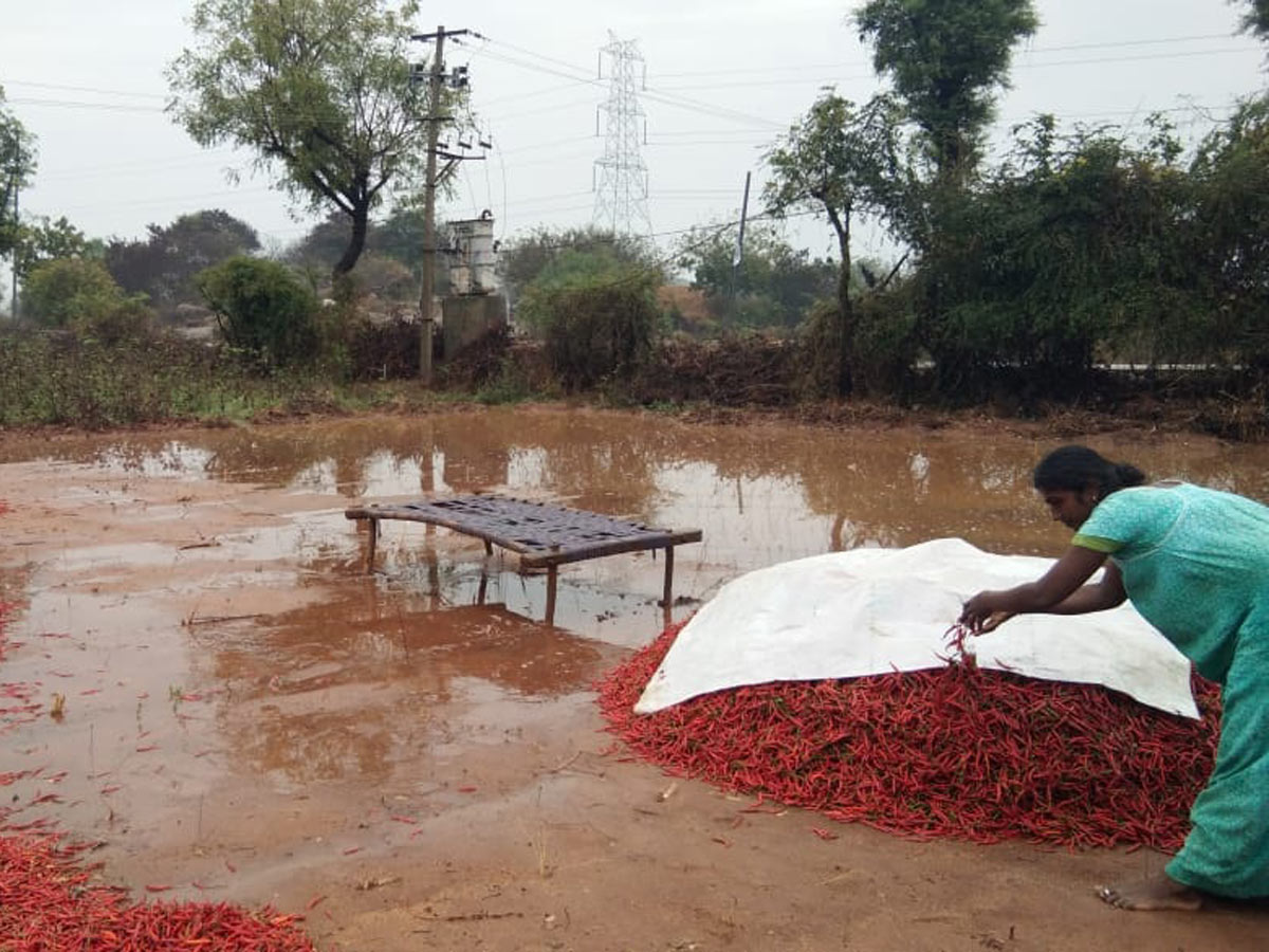 Heavy Rain in Khammam Photo Gallery - Sakshi24