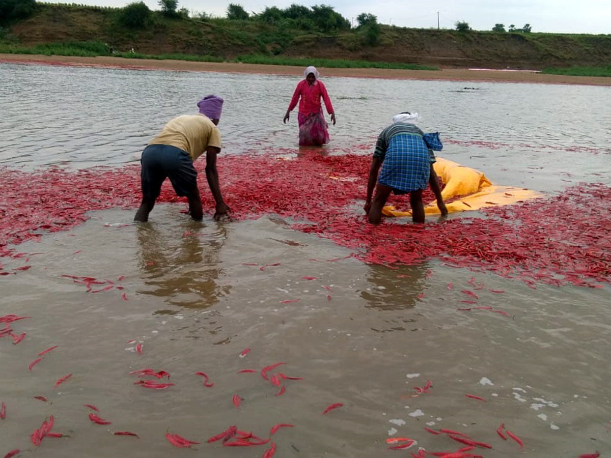 Heavy Rain in Khammam Photo Gallery - Sakshi30