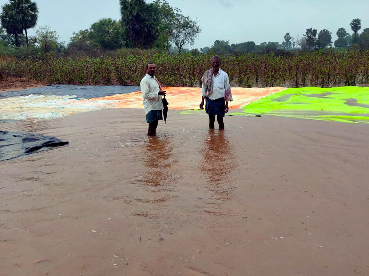 Heavy Rain in Khammam Photo Gallery - Sakshi32