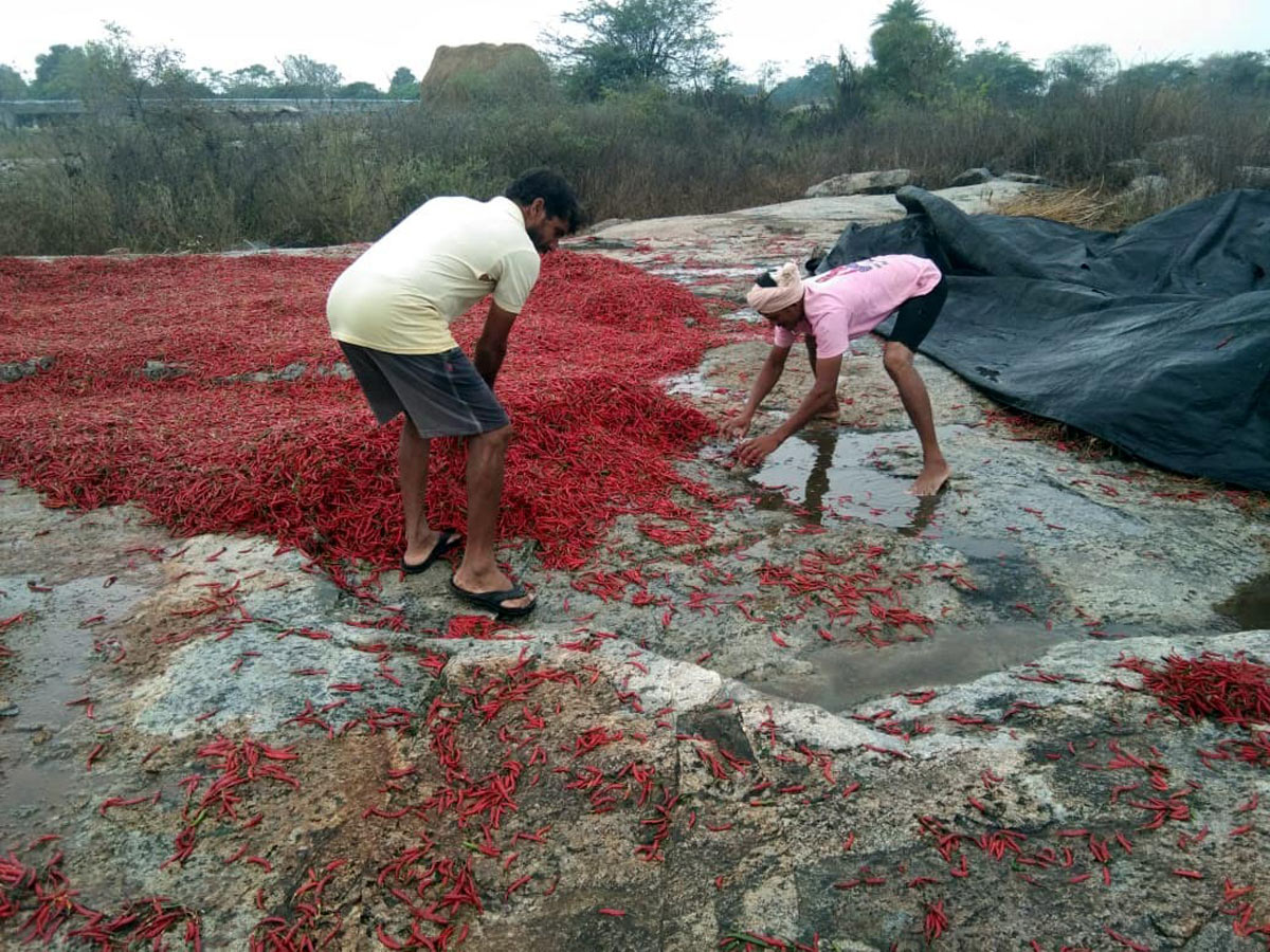Heavy Rain in Khammam Photo Gallery - Sakshi33