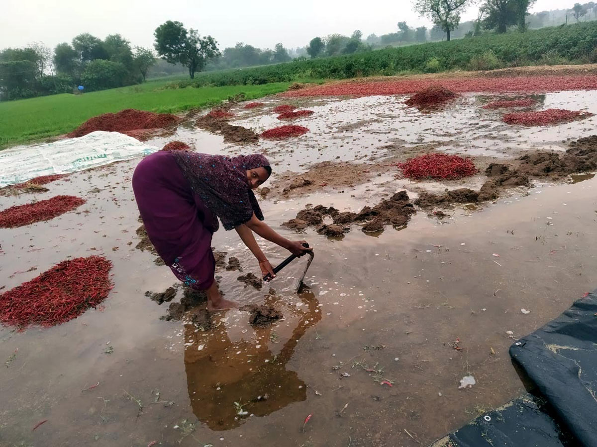 Heavy Rain in Khammam Photo Gallery - Sakshi34