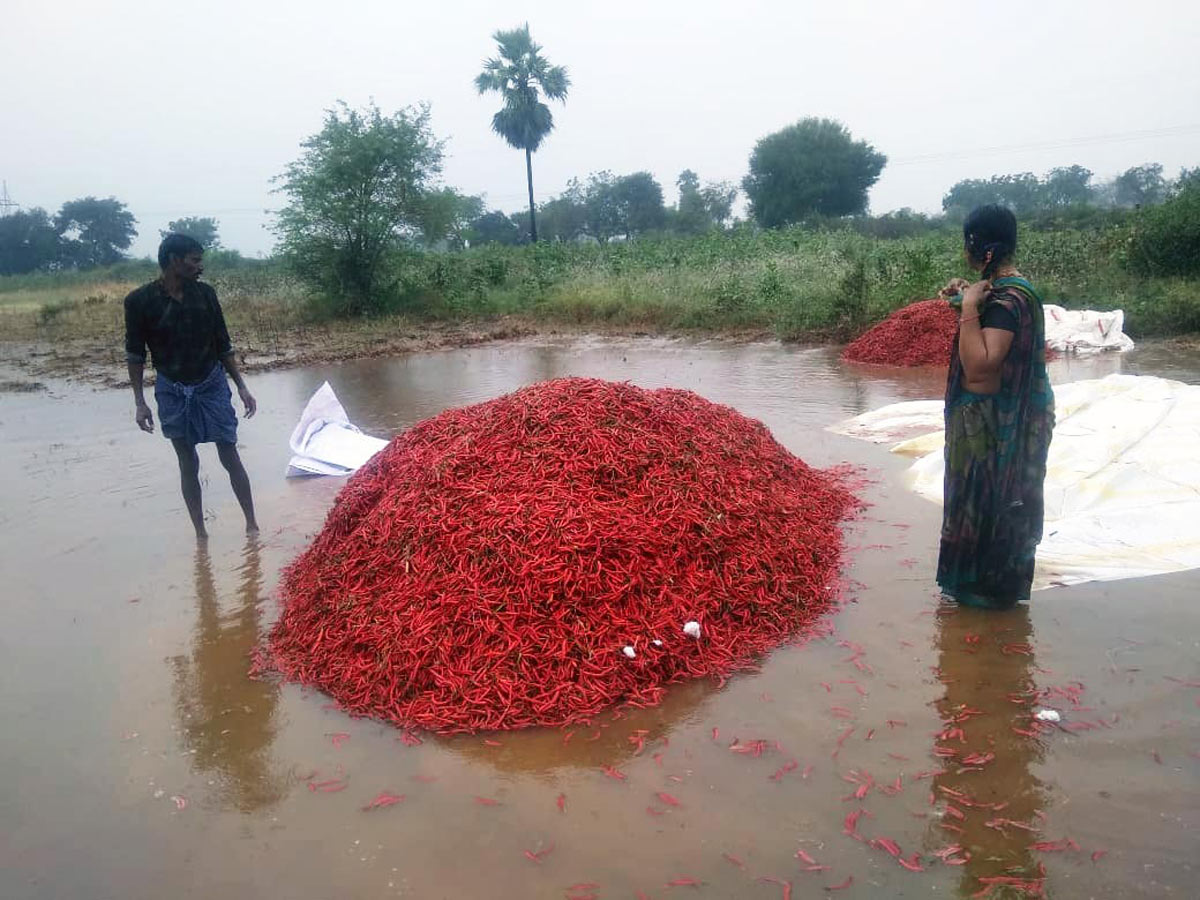Heavy Rain in Khammam Photo Gallery - Sakshi35
