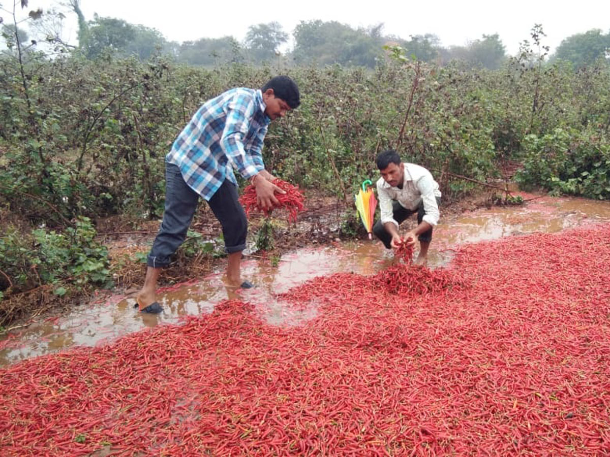 Heavy Rain in Khammam Photo Gallery - Sakshi36