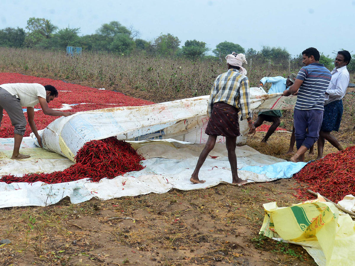 Heavy Rain in Khammam Photo Gallery - Sakshi8