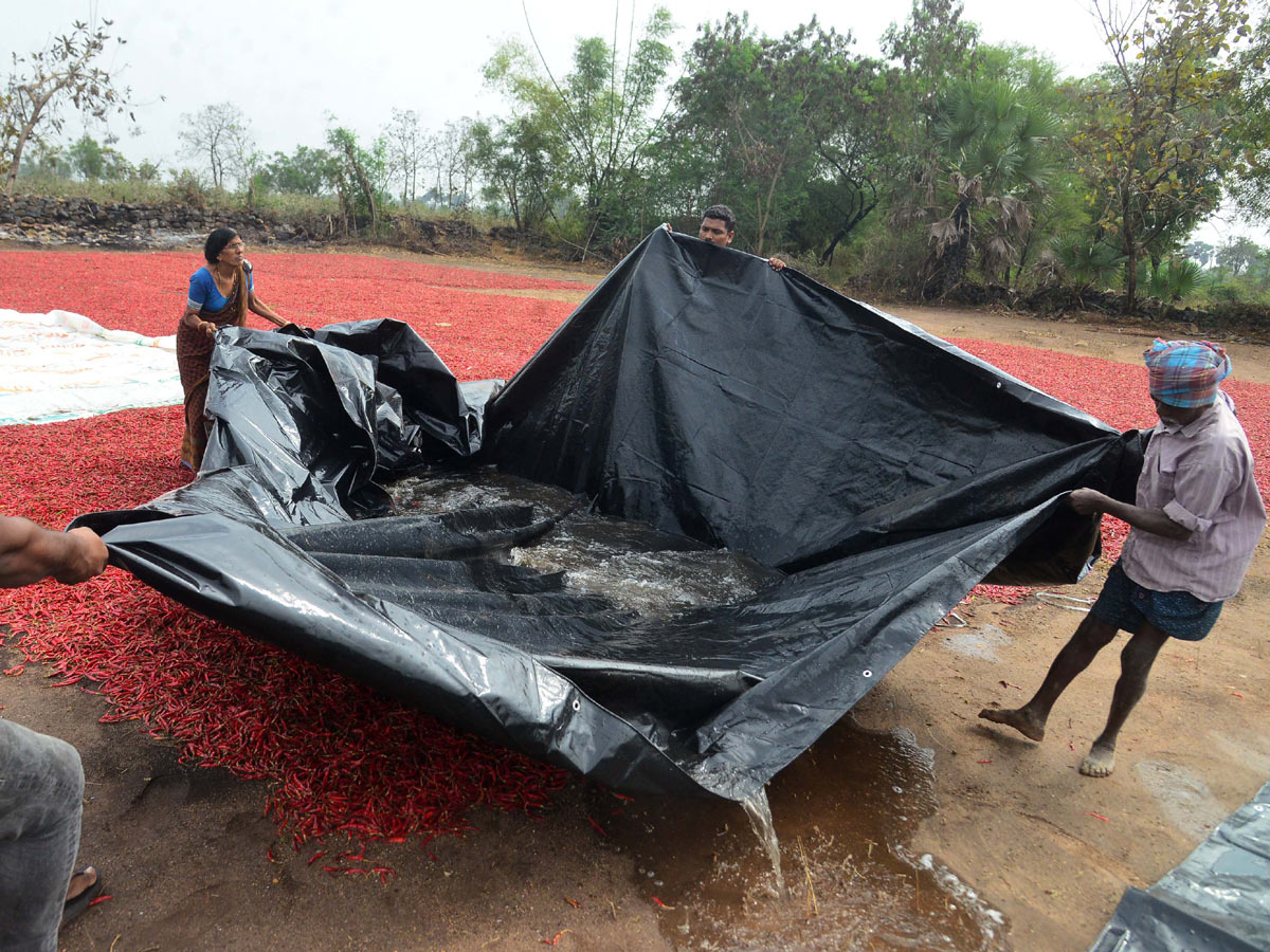 Heavy Rain in Khammam Photo Gallery - Sakshi9