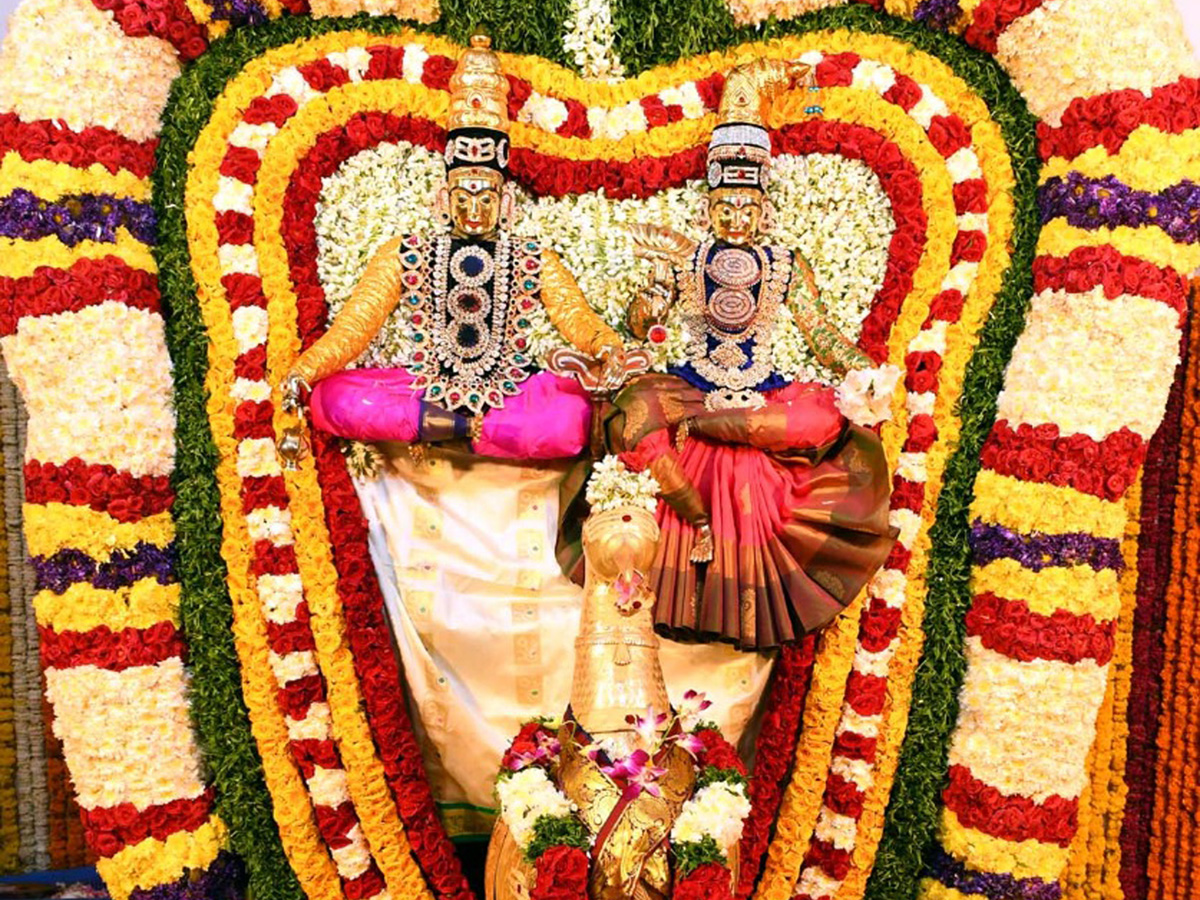 Srisailam Mallikarjuna Swamy In Mayura Vahana Photo Gallery - Sakshi3